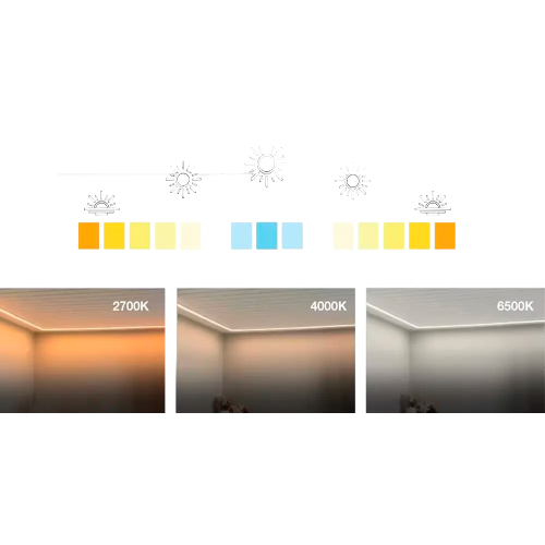 Что такое TW?