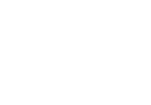 Новинка SPY 52 REFLECTOR 20°